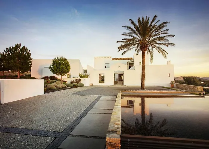 Cortijo exclusivo rodeado de un olivar centenario Arcos de la Frontera